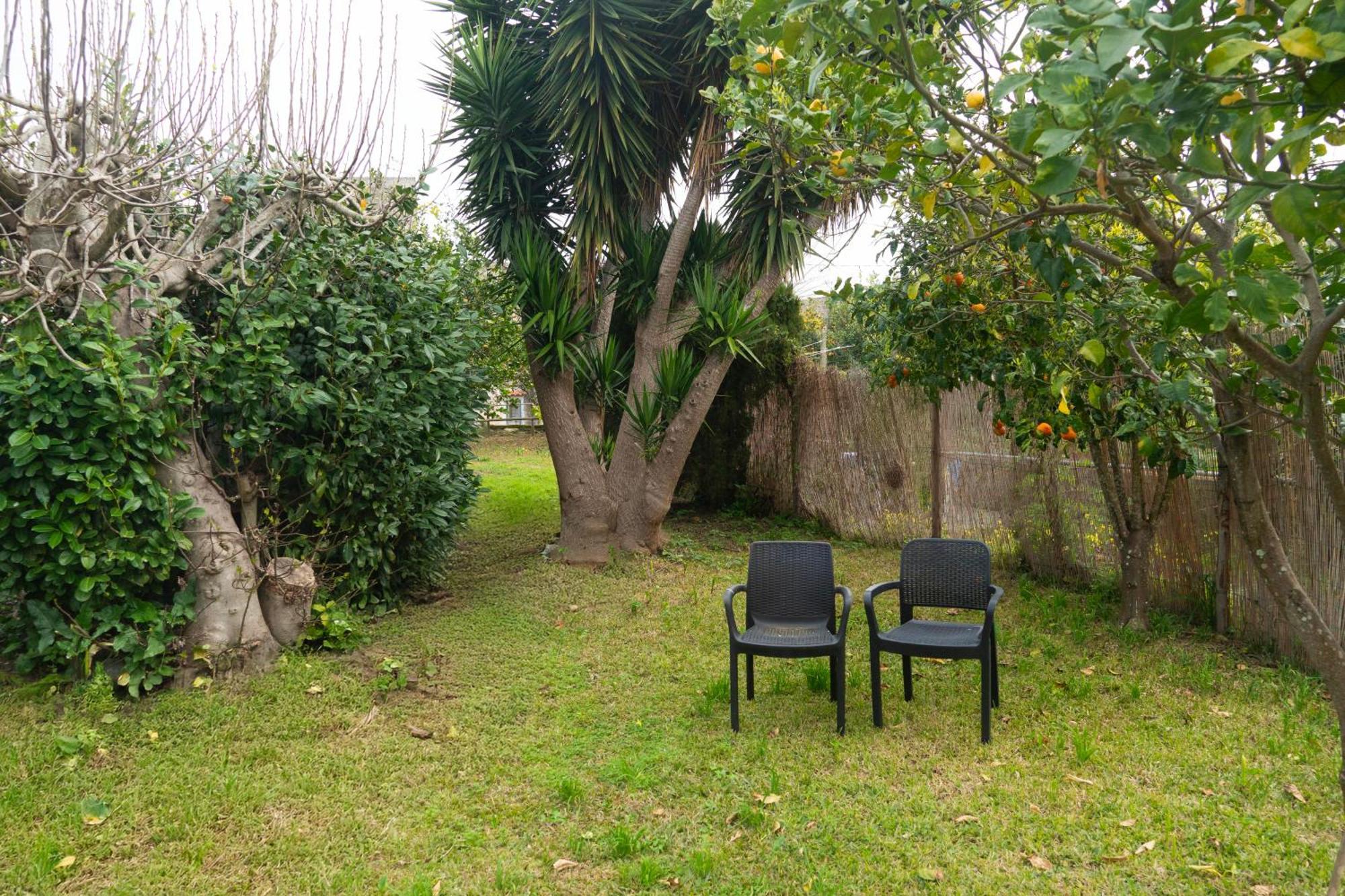Apartmán La Terrazza Sul Giardino Procida Exteriér fotografie