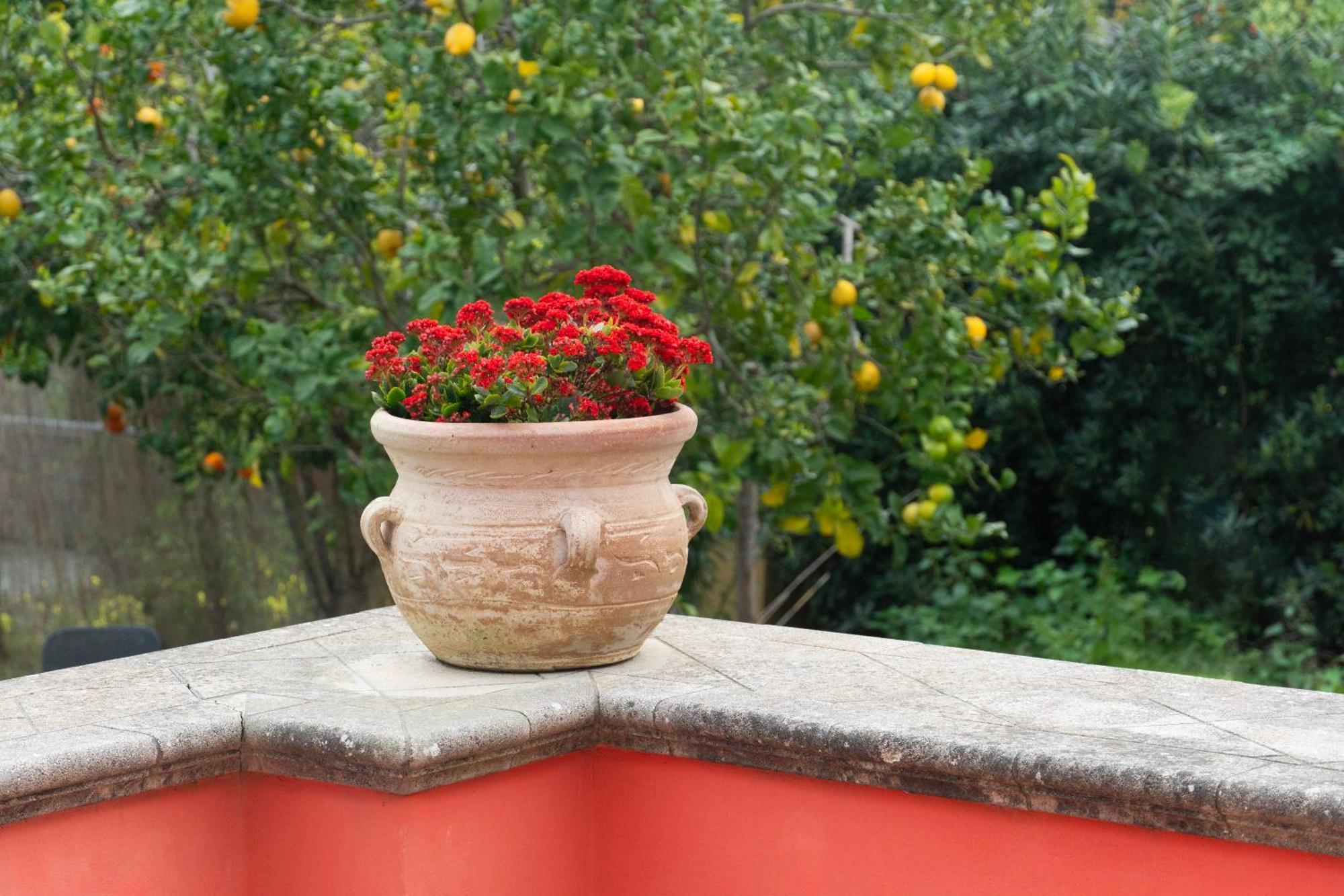 Apartmán La Terrazza Sul Giardino Procida Exteriér fotografie