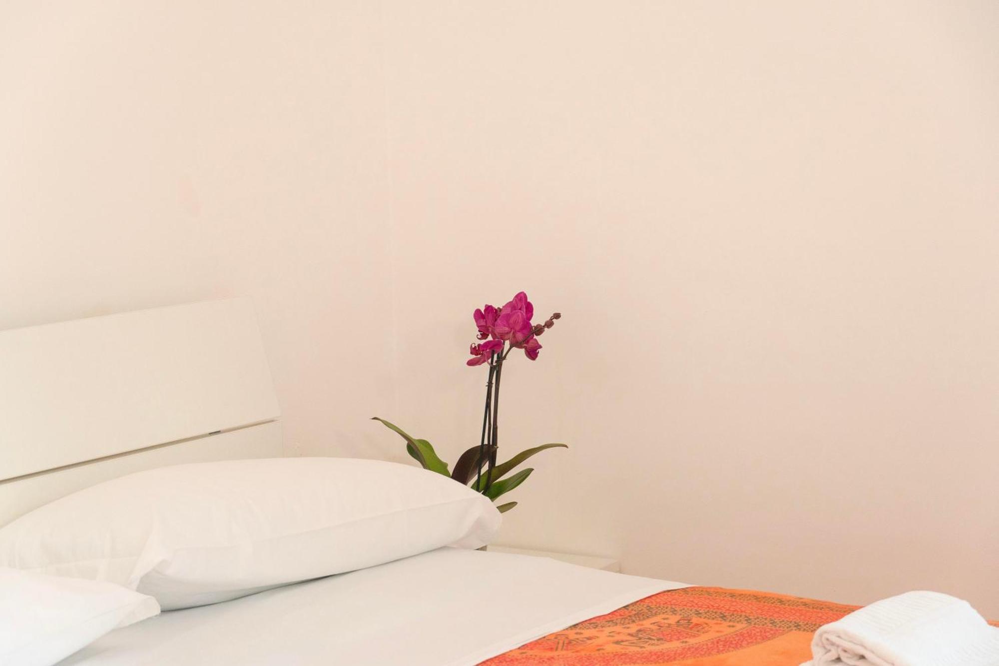 Apartmán La Terrazza Sul Giardino Procida Exteriér fotografie